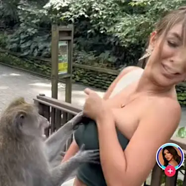 Cheeky monkey tries to 'undress' former Miss Peru at Bali sanctuary (VIDEO)