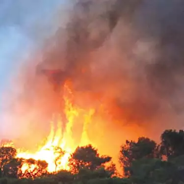 Police arrest doctor from Haifa for allegedly starting wave of forest fires in the Carmel