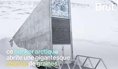 VIDEO. Un immense bunker arctique pourrait un jour nourrir l'humanité