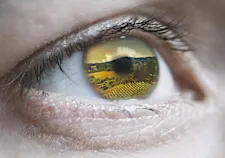 Vederci bene è importante. Hai la cataratta? Vai su www.vediamocibene.it