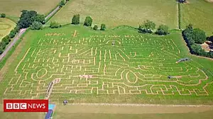 Giant maze celebrates 70 years of NHS