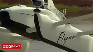 A flying car, a swimming bear