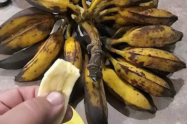 Οι άνθρωποι με πόνο στα γόνατα και στους γοφούς πρέπει να το διαβάσουν αυτό Οι άνθρωποι με πόνο στα γόνατα και στους γοφούς πρέπει να το διαβάσουν αυτό