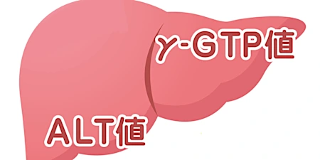 あなたの肝臓は大丈夫？後悔したくない40代からの肝機能ケア