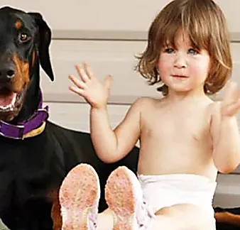 [Gallery] Family Dog Withholds Baby And Then Mom Sees Surprising Reason Why