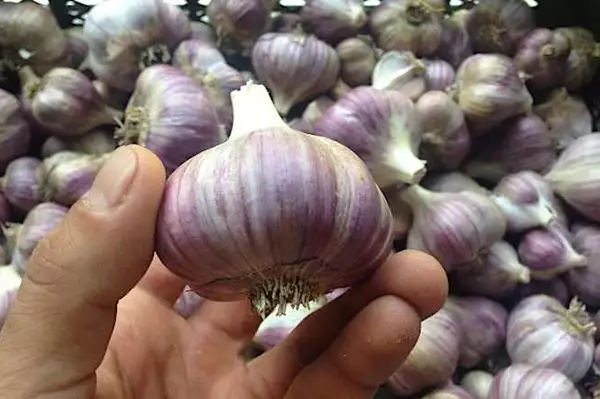 Εάν πάσχετε από προστατίτιδα, διαβάστε αυτό.