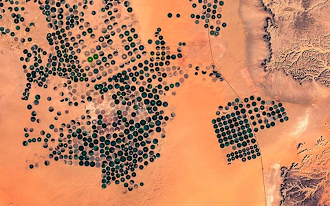 Is this Satellite Image the Key to Stock Market Performance?