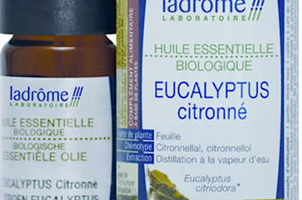 Comment utiliser l'eucalyptus citronné pour éloigner les moustiques ?