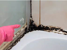Switch to This Japanese Cleaning Innovation – Loved by Households in Islamabad!