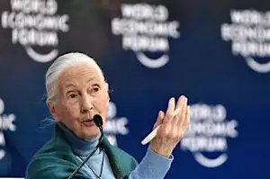 Η ζωολόγος Jane Goodall προειδοποιεί: «Ο κόσμος είναι ένα χάος» ενόψει της COP16