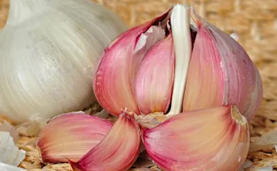 La gente más sana come estos 25 alimentos a diario