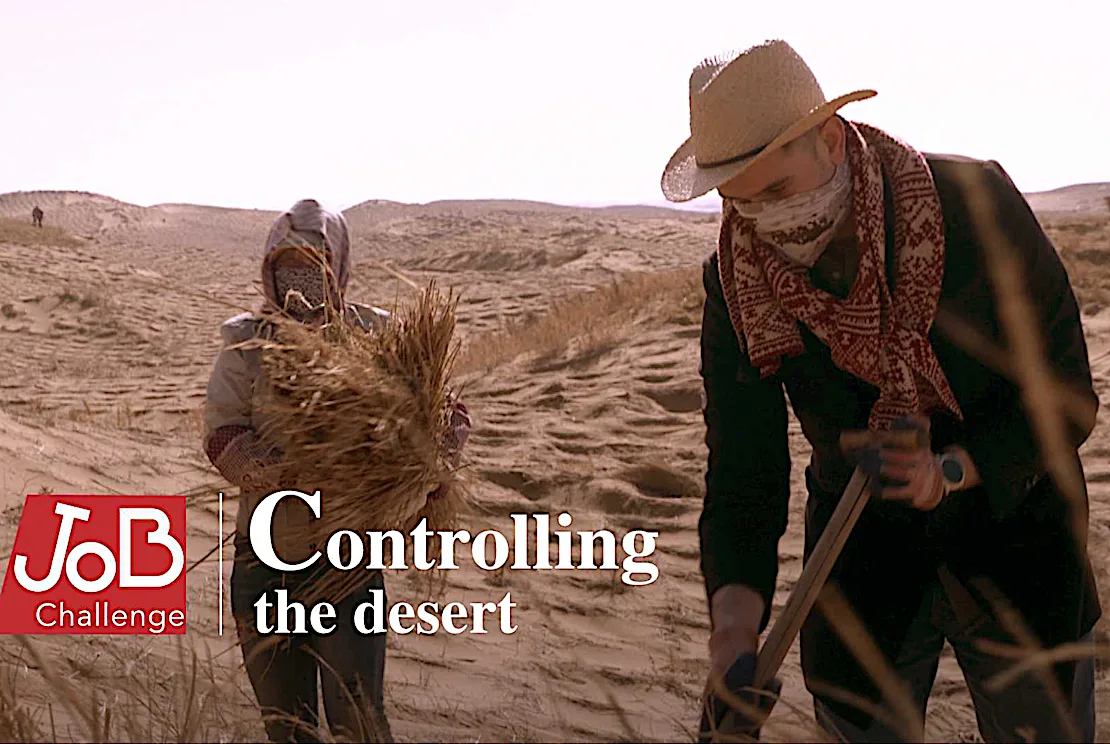 Job Challenge! Helping China push back the desert Job Challenge! Helping China push back the desert