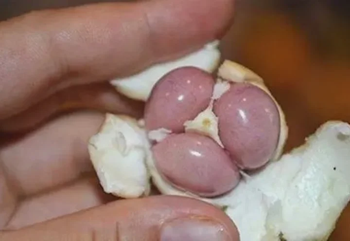 Diabetes Is Not From Sweets! Meet The Main Enemy Of Diabetes