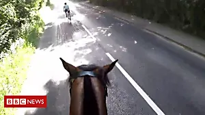 Horse hit by passing triathlon cyclists