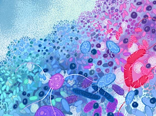Inside An Ambitious 30-Year Experiment: What 60,000 Generations of Bacteria Tell Us About Our World