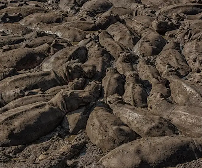 [Gallery] Canal Drained For First Time In 200 Years. After They Find This Cops Are Immediately