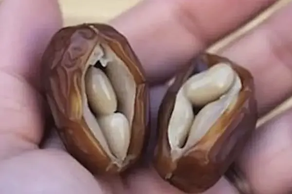 Taking Metformin? Use This Household Food To Lower Blood Sugar