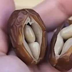 Taking Metformin? Use This Household Food To Lower Blood Sugar