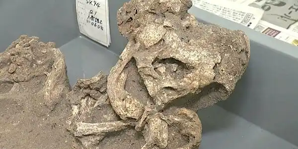 「ウソだと思った」奇跡の大発見…4000年前の‟お宝”100万点が続々出土 【福島発】