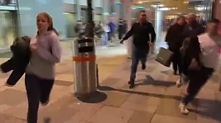 Multitud huye de "ataque terrorista" en centro de Viena: video captó momentos de pánico | Video