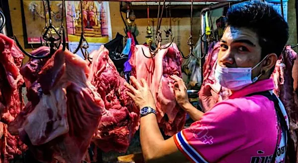 Coronavirus: qué son los "mercados mojados" y por qué son una preocupación sanitaria para la OMS | EL DEBER Coronavirus: qué son los "mercados mojados" y por qué son una preocupación sanitaria para la OMS | EL DEBER