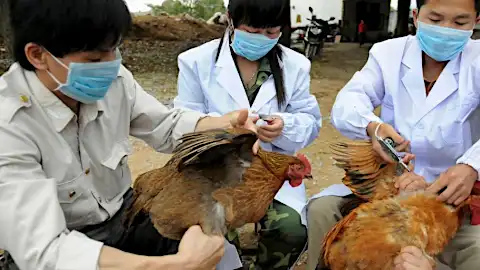 China virus outbreak shows Asia needs to step up infection preparation