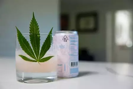 Shop Higher