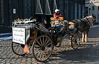 Montreal horse-drawn carriages take one last lap