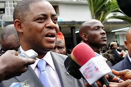 Fani-Kayode says he caught his estranged wife in bed with a married man