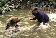 [Photos] Des hommes portent secours à des bébés ours, voici la réaction de la mère