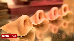 'I have seven different noses'