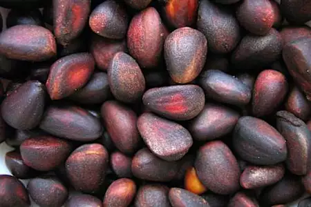 Προστάτης: Εάν ουρείτε περισσότερες από δύο φορές τη νύχτα, κάντε το αμέσως!