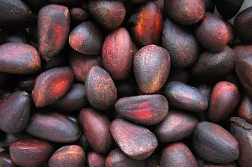 Προστάτης: Εάν ουρείτε περισσότερες από δύο φορές τη νύχτα, κάντε το αμέσως!