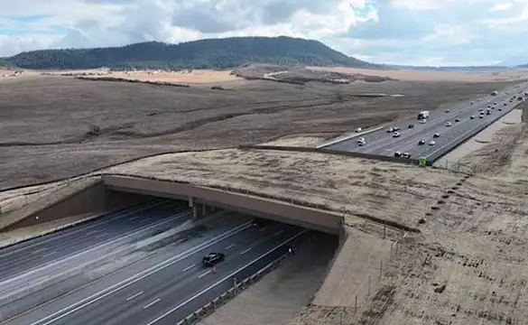 First-of-its-kind overpass aims to stop animal-vehicle crashes in Colorado First-of-its-kind overpass aims to stop animal-vehicle crashes in Colorado