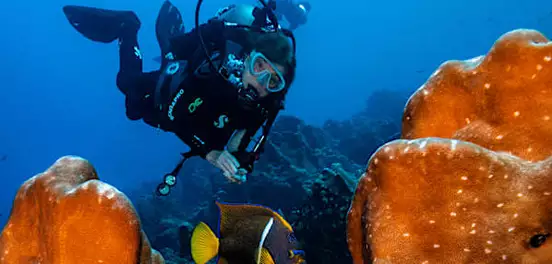 Diese Forscher suchen unter Wasser nach Antworten