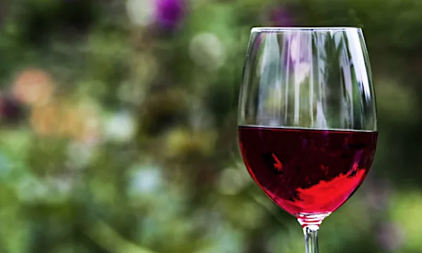 Wine from Finland? It may come sooner than you think Wine from Finland? It may come sooner than you think