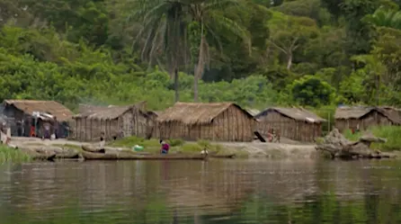 Más allá del covid-19: Investigan posibles enfermedades infecciosas en el Congo | Video