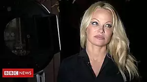 Pamela Anderson calls for 'more democratic EU'