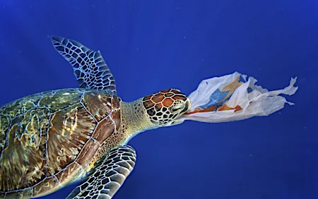 Ένα εκατομμύριο ζώα και φυτά απειλούνται με εξαφάνιση: 5 χειρονομίες για να τους σώσουν Ένα εκατομμύριο ζώα και φυτά απειλούνται με εξαφάνιση: 5 χειρονομίες για να τους σώσουν