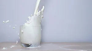 Should we drink milk to strengthen bones?