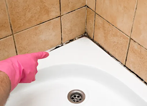 The Easiest Ways To Get Rid Of House Mold - This May Surprise You!