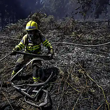 Η Κολομβία κηρύσσει έκτακτη ανάγκη λόγω των μαινόμενων δασικών πυρκαγιών