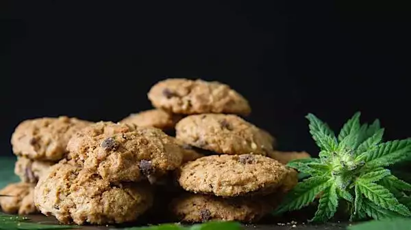 危及生命！奶奶给孙子们（5人）吃大麻饼干