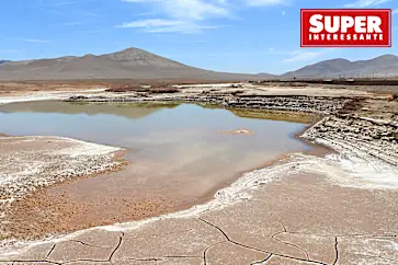 Após 500 anos, choveu no deserto do Atacama – mas teria sido melhor não