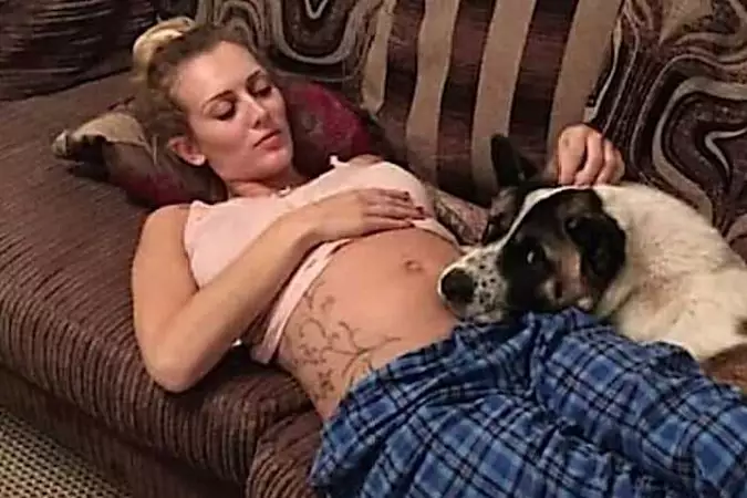 犬は妊娠中の主人が近づくたびに吠え出し、疑問に思った彼女は医師の診断を受けた 犬は妊娠中の主人が近づくたびに吠え出し、疑問に思った彼女は医師の診断を受けた