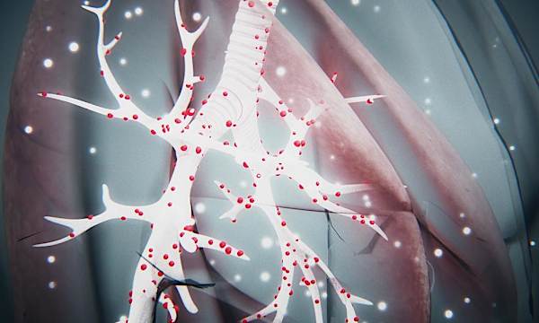 Coronavirus symptoms: 10 key indicators and what to do Coronavirus symptoms: 10 key indicators and what to do