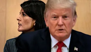 Nikki Haley breaks with Trump: We shouldn't have followed him