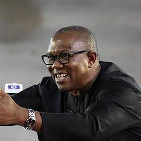 Fayose reveals Peter Obi as his choice for presidency