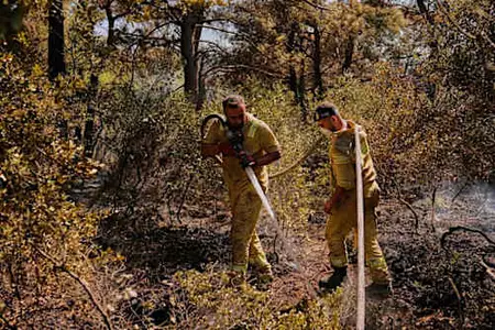 Πύρινος εφιάλτης στην Τουρκία: Πάνω από 3.500 πυροσβέστες επιχειρούν στις φωτιές Πύρινος εφιάλτης στην Τουρκία: Πάνω από 3.500 πυροσβέστες επιχειρούν στις φωτιές