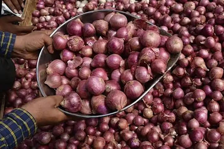 ১৫ মার্চ থেকে দেশে আসছে ভারতের পেঁয়াজ ১৫ মার্চ থেকে দেশে আসছে ভারতের পেঁয়াজ